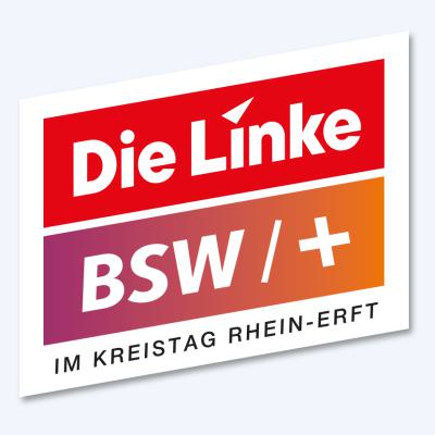 Logo Dielinke Bsw